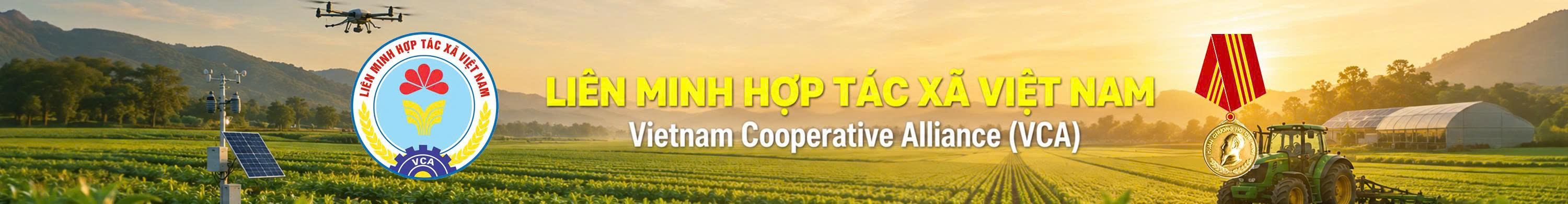 Liên minh Hợp tác xã Việt Nam