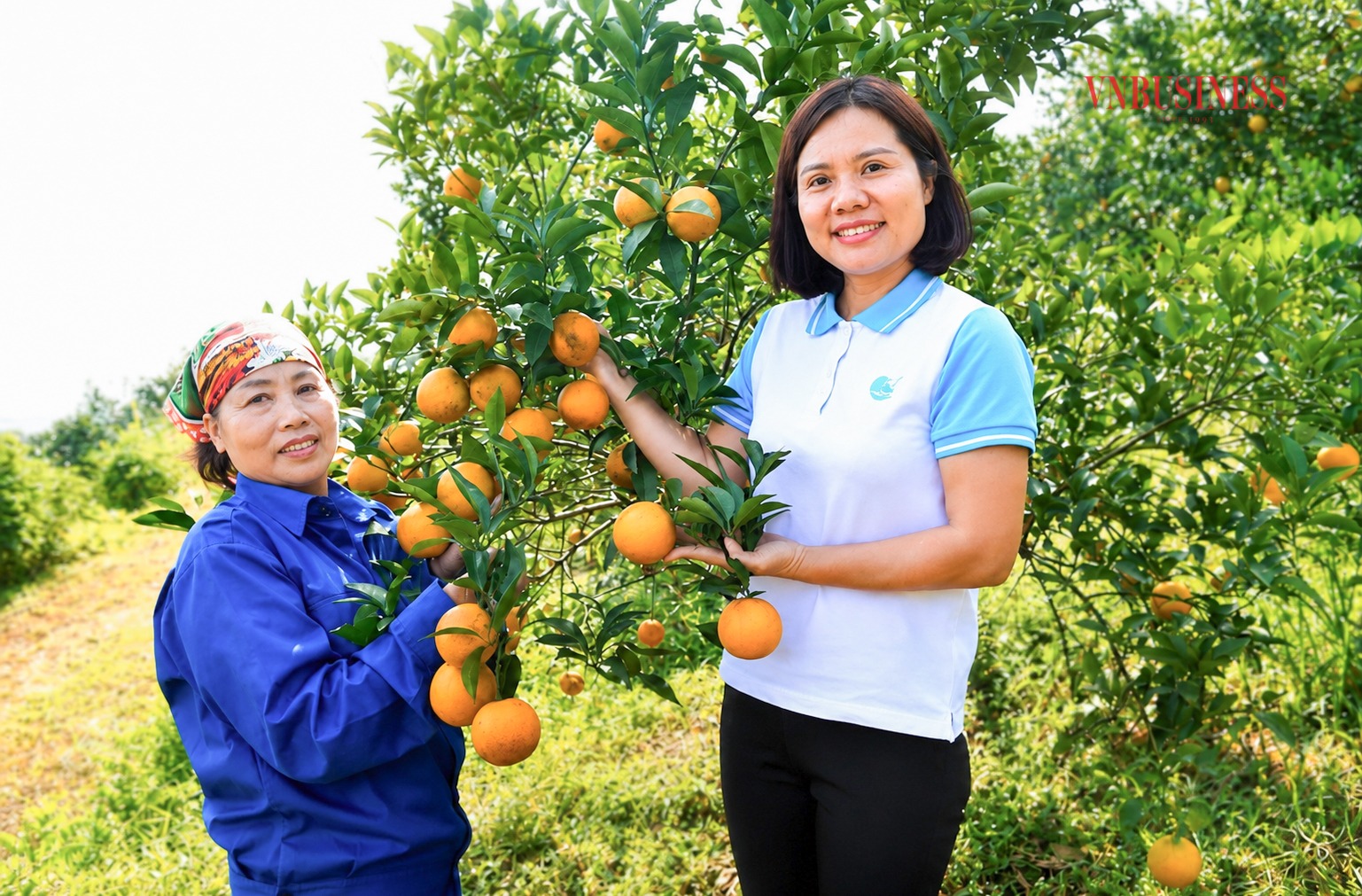 FAO tìm 8 gương mặt nữ tiêu biểu của nông nghiệp Việt Nam