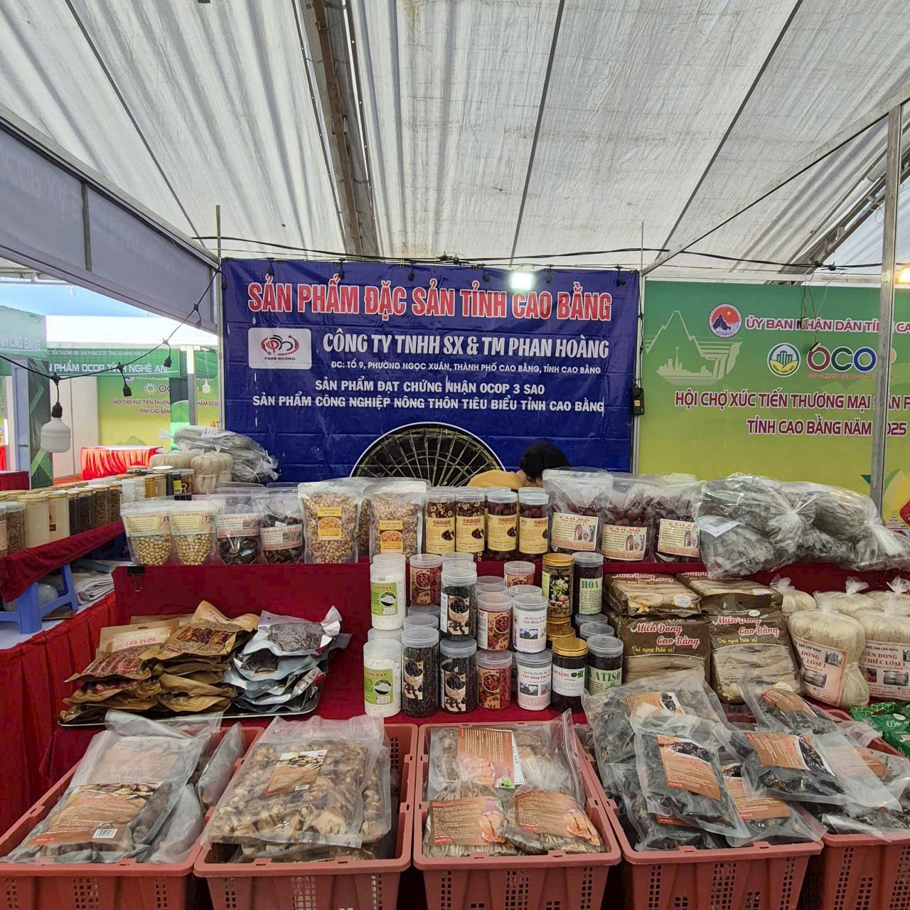Vận dụng tư tưởng Hồ Chí Minh về kinh tế tập thể trong giai đoạn mới