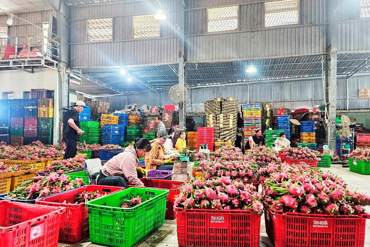 Lâm Đồng: “Số hóa” sản phẩm OCOP
