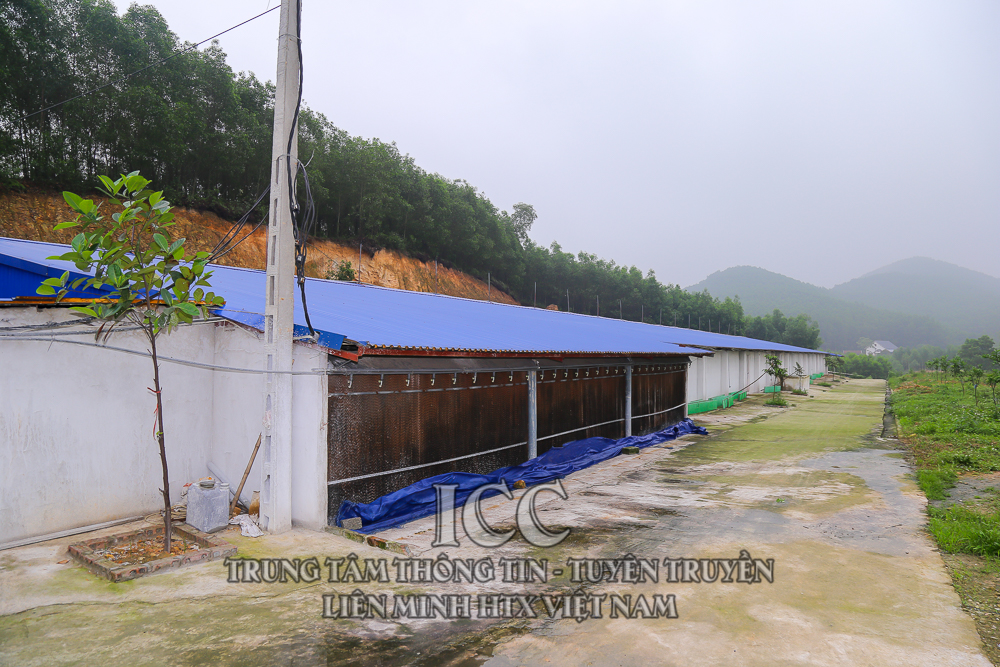 Sự kiện Quý I