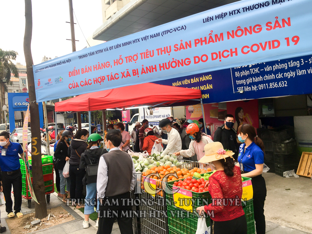 Sự kiện Quý I
