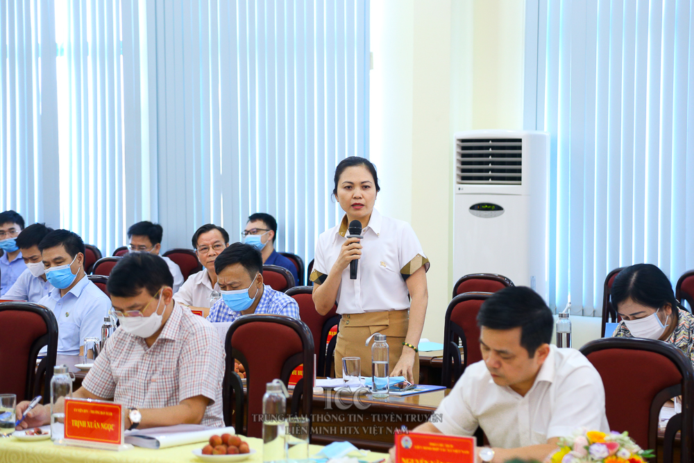 Sự kiện Quý II