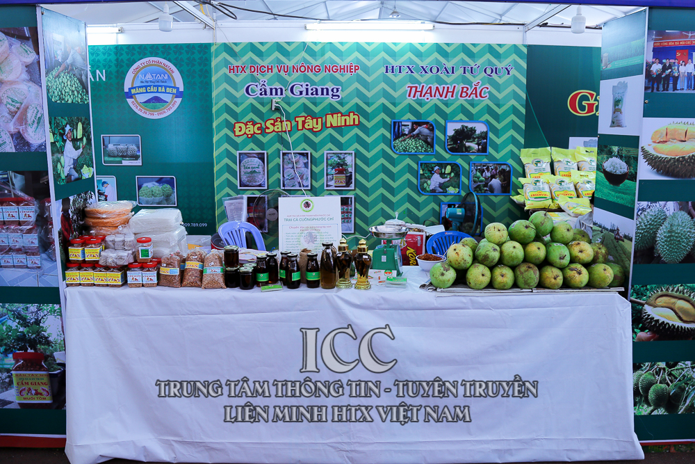 Sự kiện Quý II