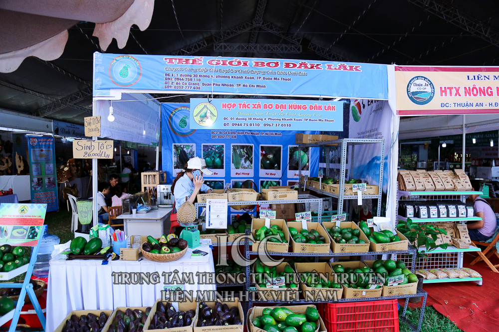 Sự kiện Quý II