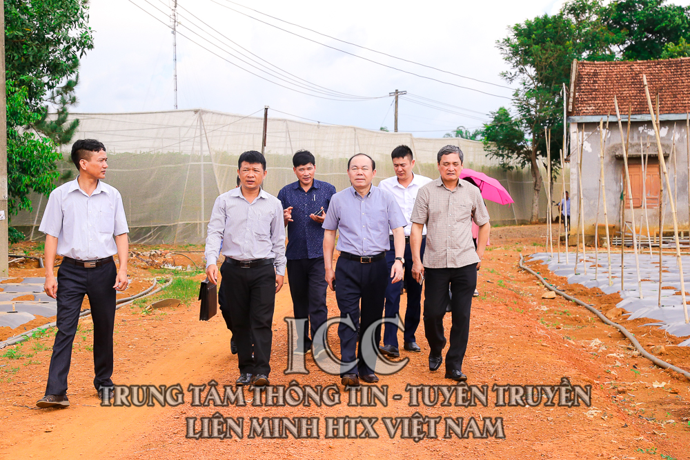 Sự kiện Quý II