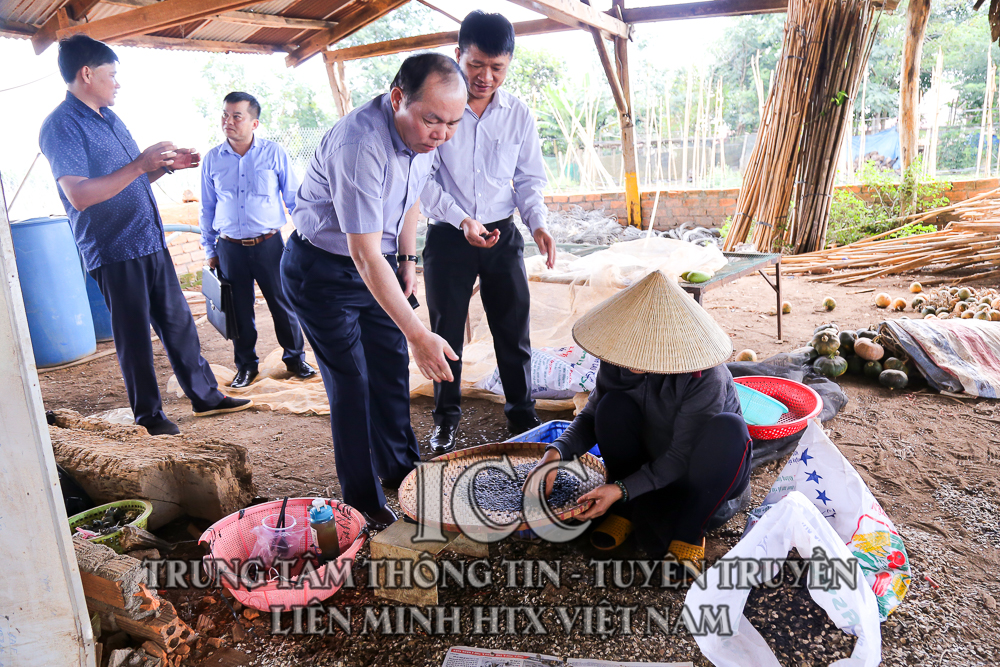 Sự kiện Quý II