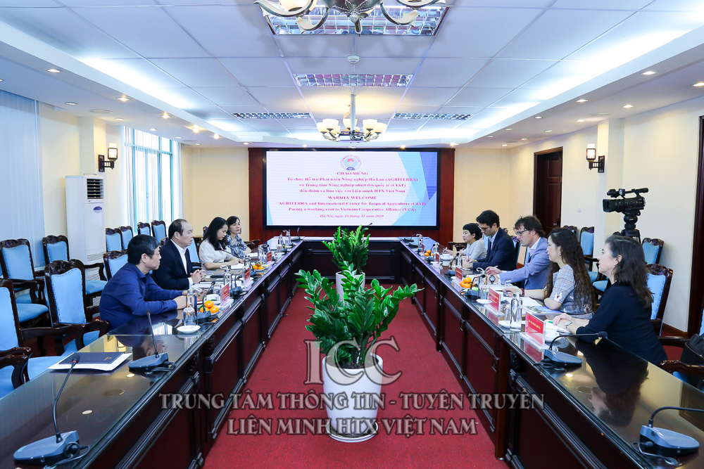 Sự kiện Quý IV