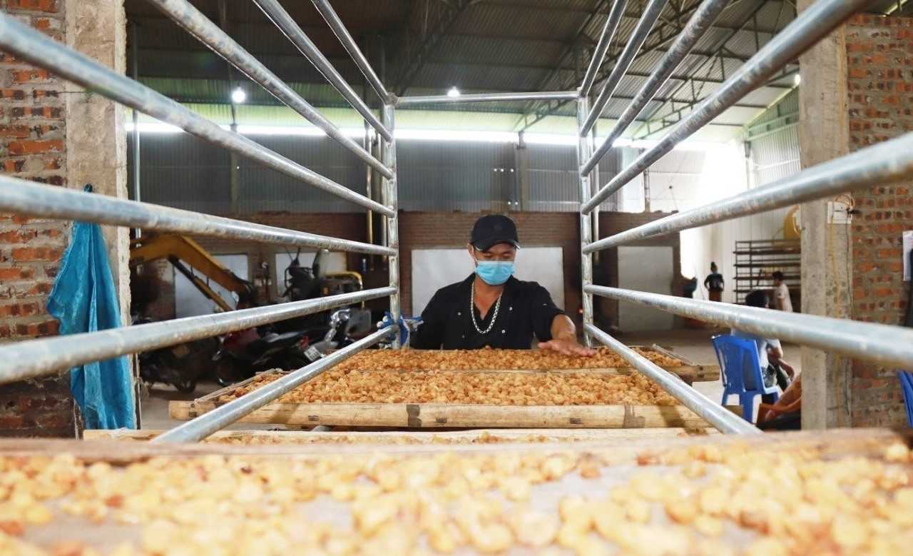 Hưng Yên: Hợp tác xã ở Tân Hưng "hái quả ngọt" nhờ sở hữu trí tuệ