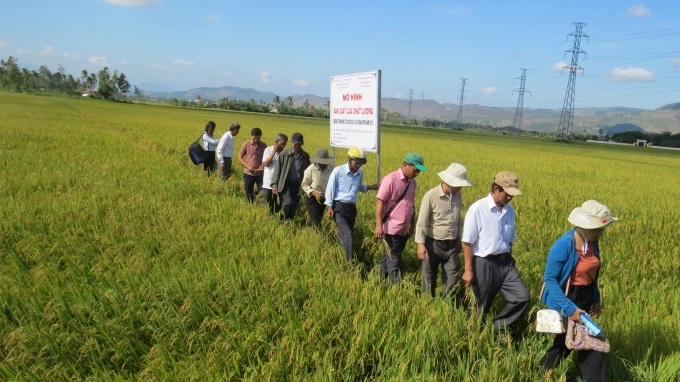 Hòa Quang Bắc xây dựng xã nông thôn mới nâng cao