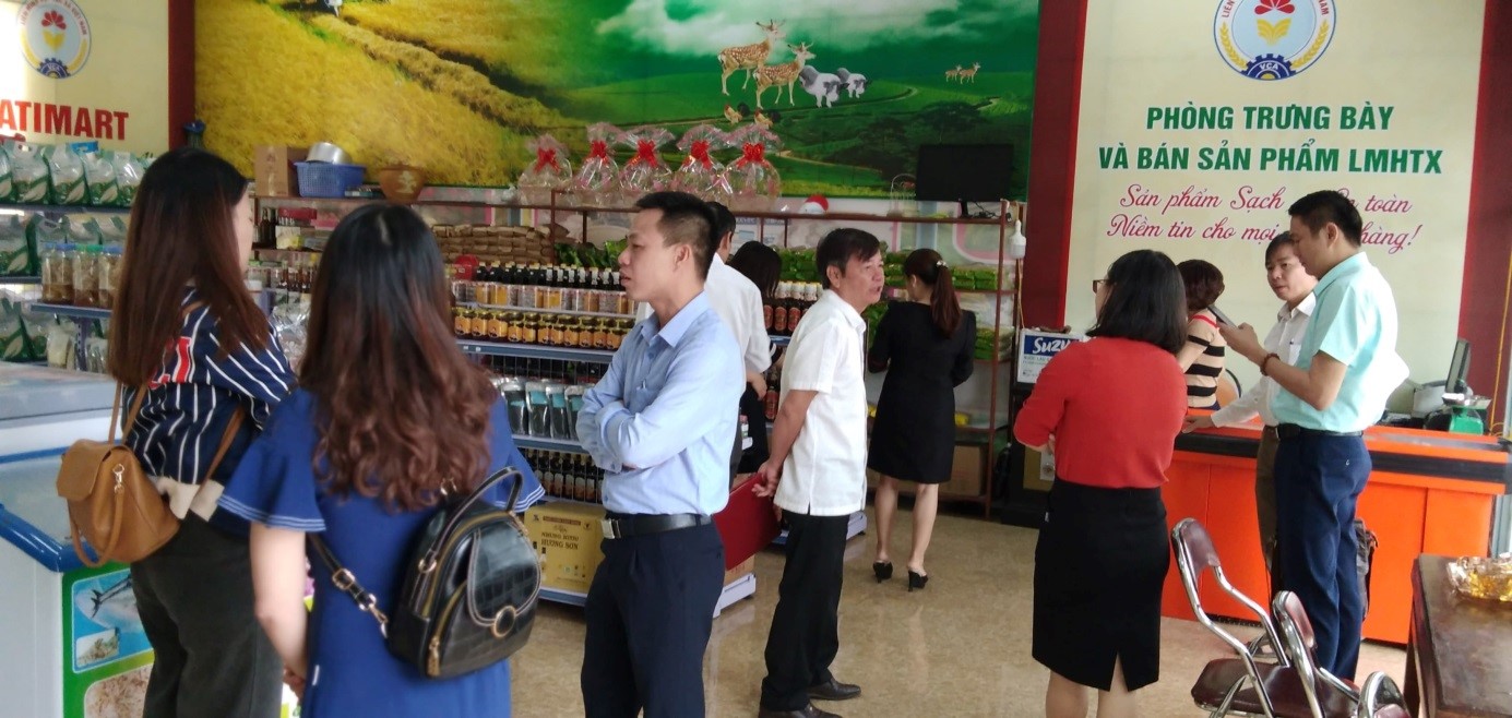 CEDIC: Khảo sát sản phẩm hợp tác xã, nghiên cứu thông tin thị trường tại Quảng Trị và Hà Tĩnh