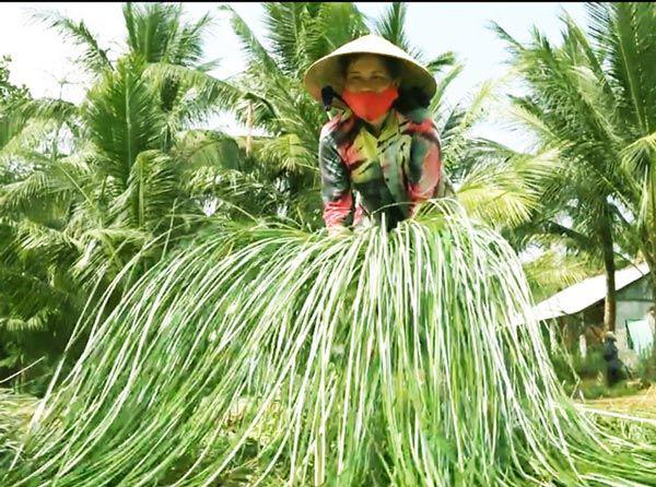 Nâng cao kiến thức, tư duy làm kinh tế nông nghiệp cho nông dân