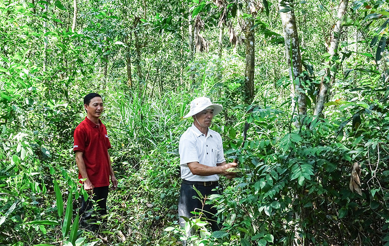 Quảng Trị:  Chuyển biến tích cực từ kinh tế tập thể