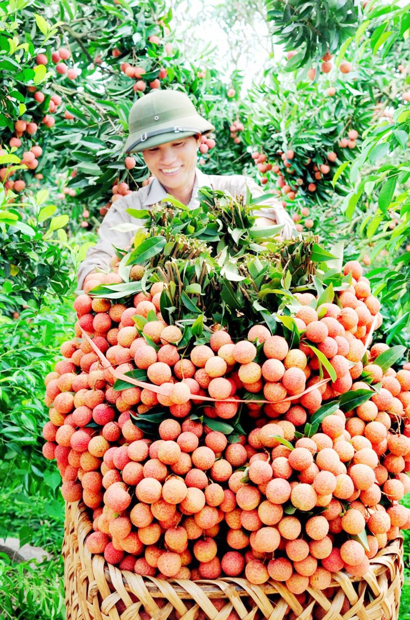 Hội Nông dân và Hợp tác xã: Vượt khó, sáng tạo để phát triển