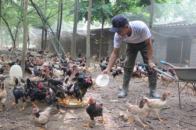 Dịch bệnh, phép thử cho ngành nông nghiệp Hà Nội