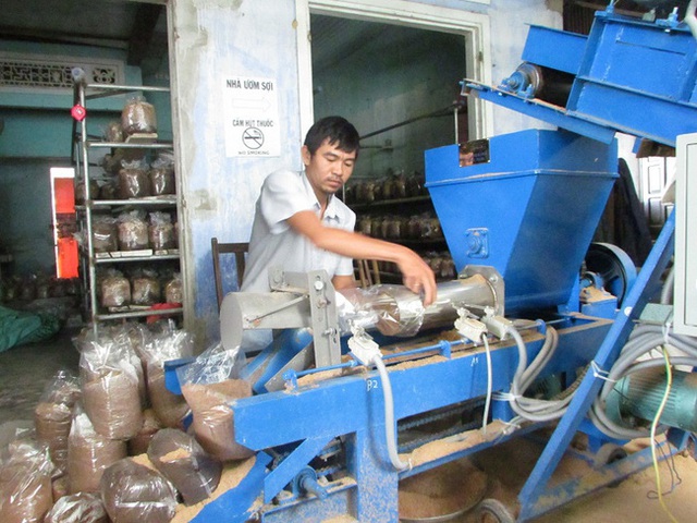 Ông chủ hợp tác xã "nghiện"... nấm