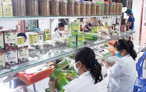 Hà Nội: Tập trung nguồn lực để phát triển kinh tế nông thôn