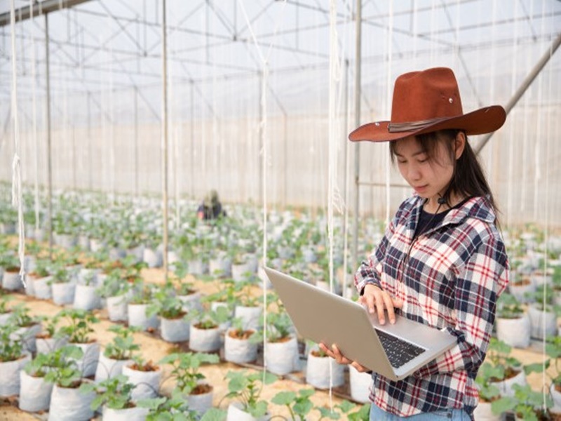 Hỗ trợ đưa lao động trẻ về làm việc tại hợp tác xã