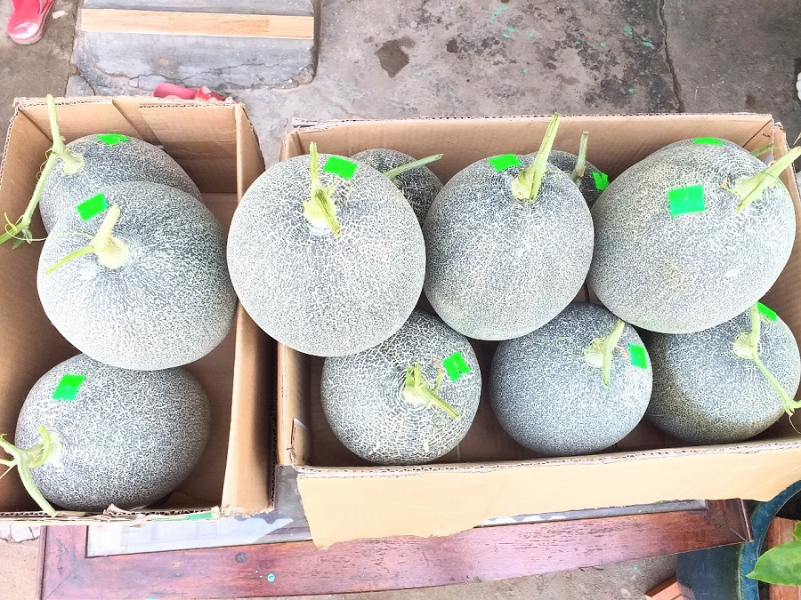 An Giang đưa sản phẩm, hàng hoá đến với hệ thống Co.opmart