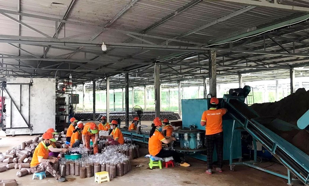 Hợp tác xã Sản xuất chế biến và tiêu thụ nấm Nhì Tây: Địa chỉ cung cấp nấm uy tín và an toàn