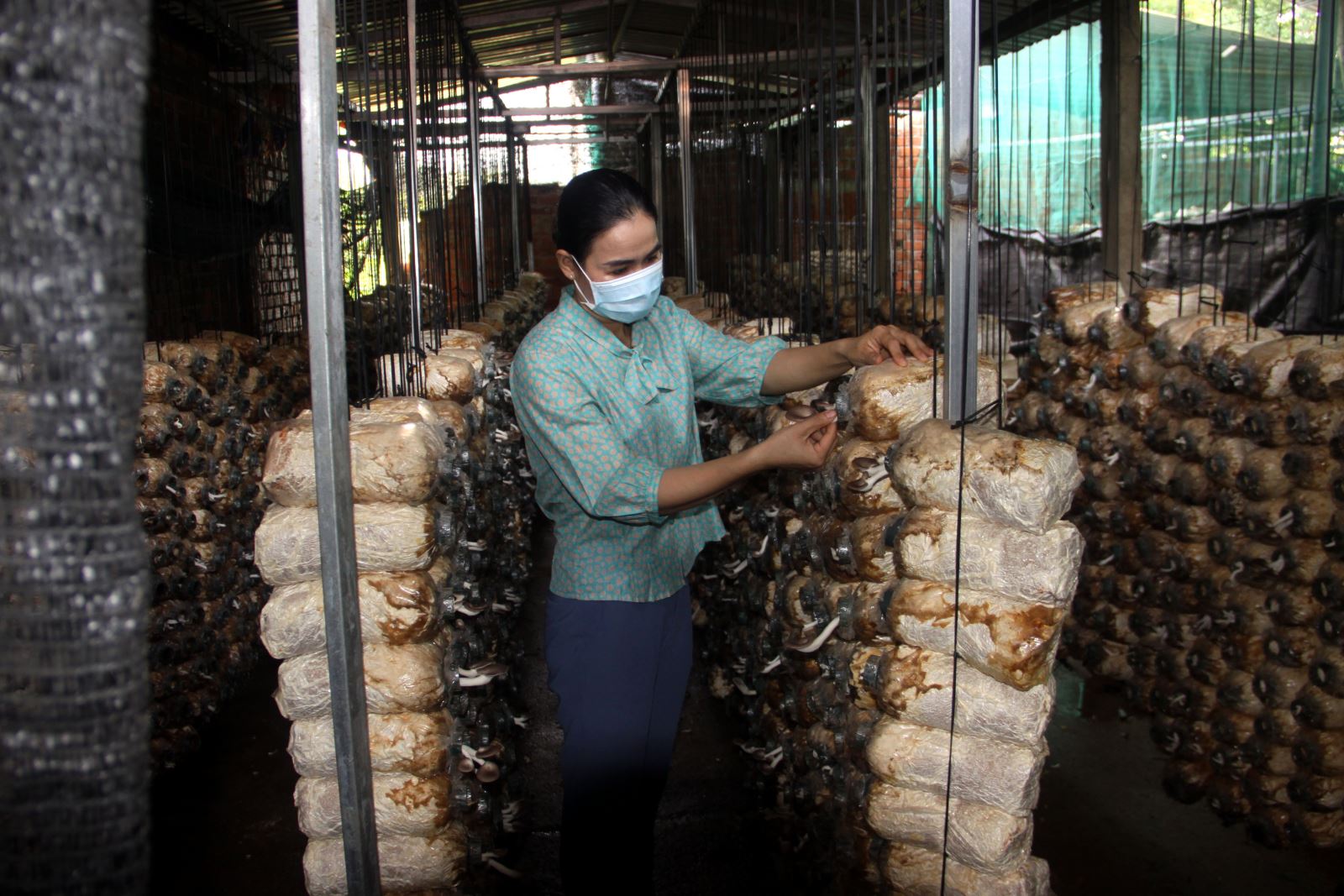 Khẳng định thương hiệu từ nông sản sạch