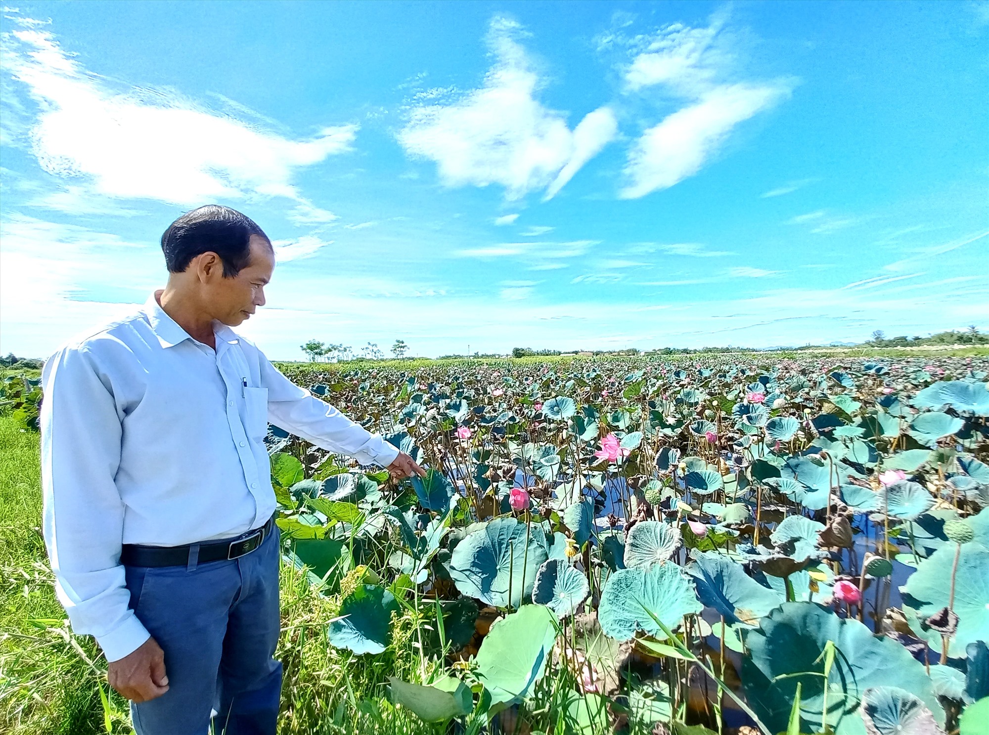 Hợp tác xã điển hình ở vùng Đông Thăng Bình