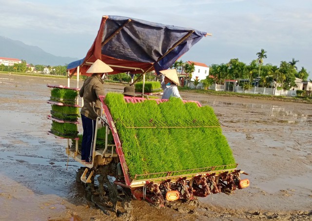 Khi hợp tác xã chuyển đổi số, bán hàng online