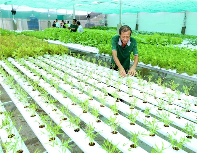 Bài 3: Giải pháp canh tác hữu cơ