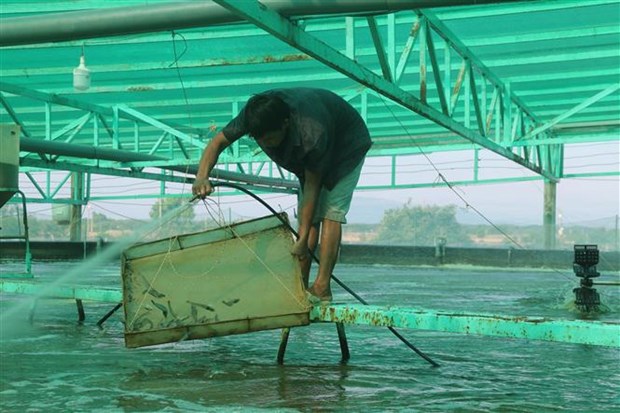 Lực đẩy từ phát triển các hợp tác xã đa ngành ở Bà Rịa - Vũng Tàu