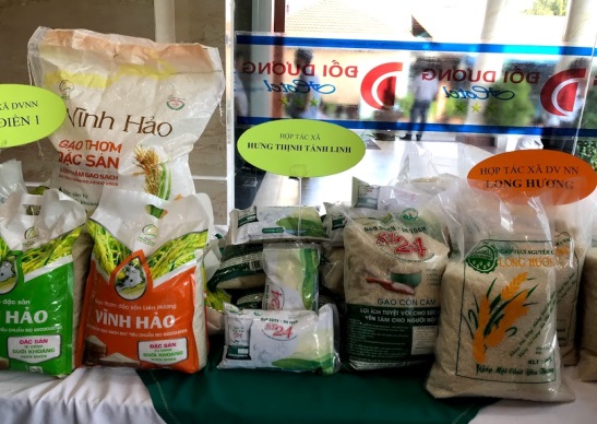 Đẩy mạnh phát triển kinh tế tập thể, hợp tác xã trên địa bàn tỉnh