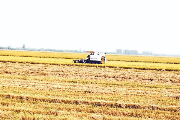 Bước chuyển trợ lực hợp tác xã