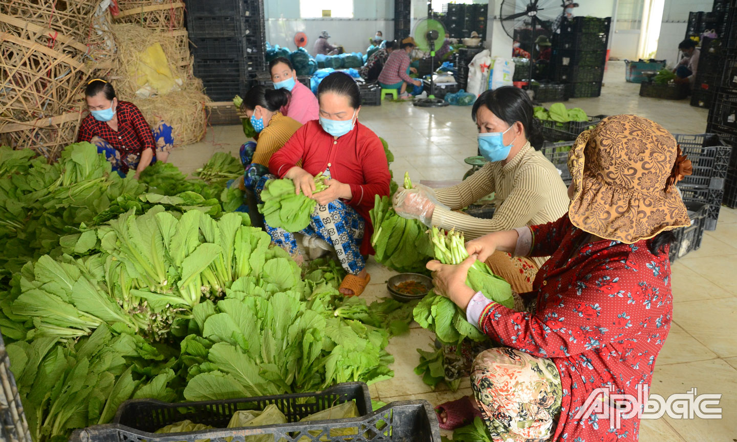 Mở rộng sản xuất, ổn định đầu ra
