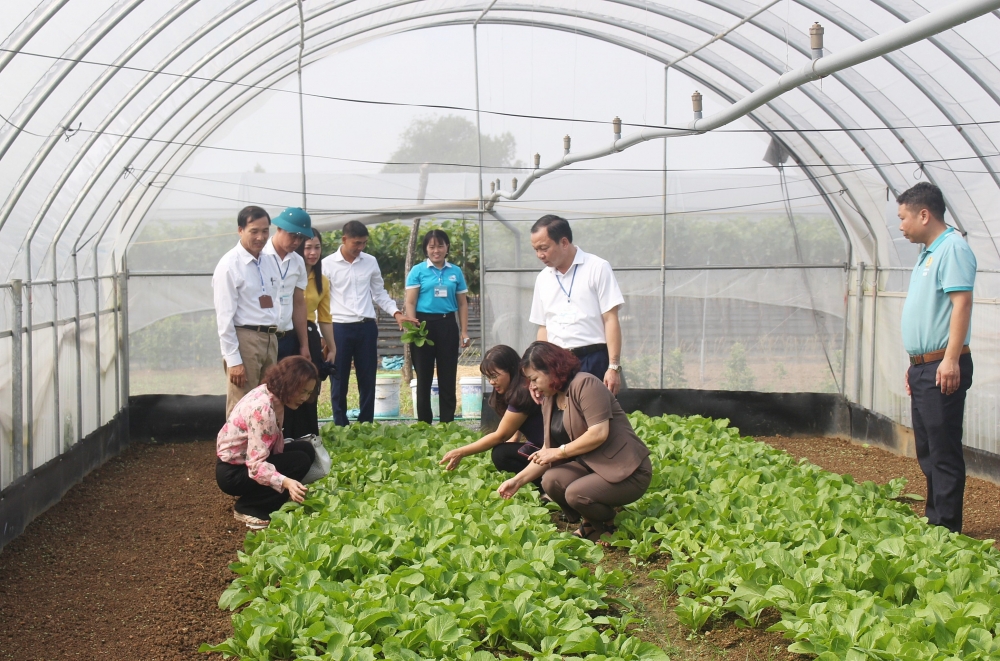 Đẩy mạnh phát triển nông nghiệp theo hướng hữu cơ, bền vững