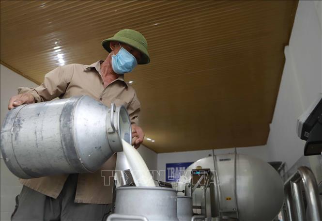 Dự báo thị trường để mở rộng đầu ra cho sản phẩm của hợp tác xã