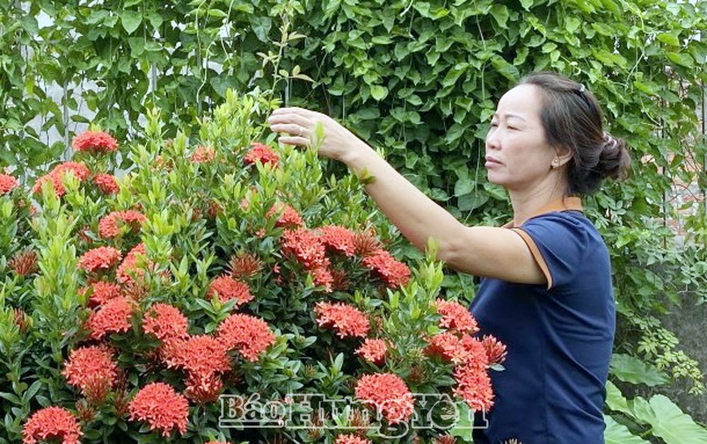 Nữ giám đốc hợp tác xã năng động