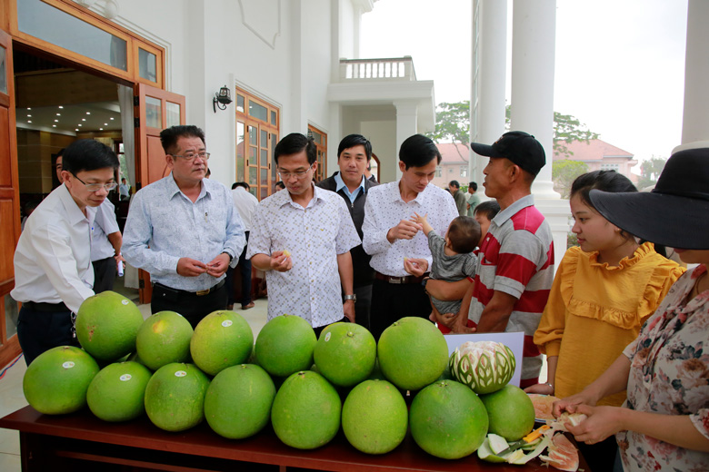 Đặc sắc hương vị bưởi da xanh Đinh Trang Thượng