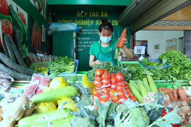 Hợp tác xã Nông nghiệp xanh 26/3, đưa nông sản sạch đến với người tiêu dùng