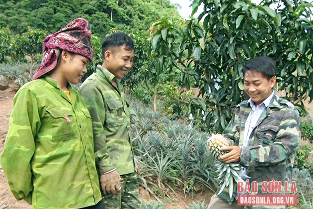 Phát huy vai trò của hợp tác xã trong liên kết sản xuất, tiêu thụ nông sản