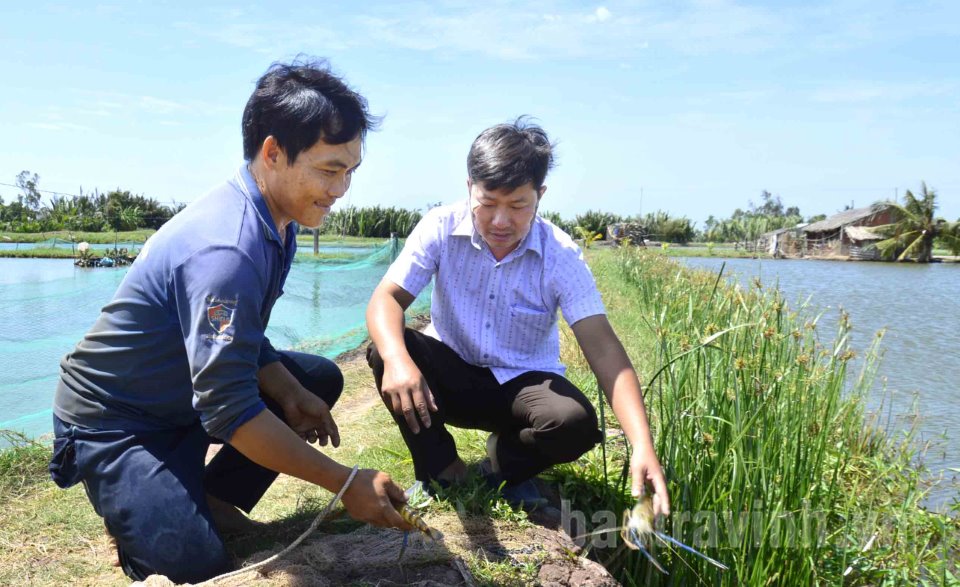 Hội Nông dân xã Long Hòa: Tham gia phát triển kinh tế tập thể trong xây dựng chuỗi sản xuất