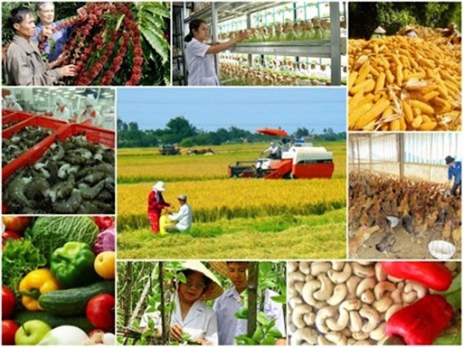 Phân loại hợp tác xã theo quy mô siêu nhỏ, nhỏ, vừa và lớn
