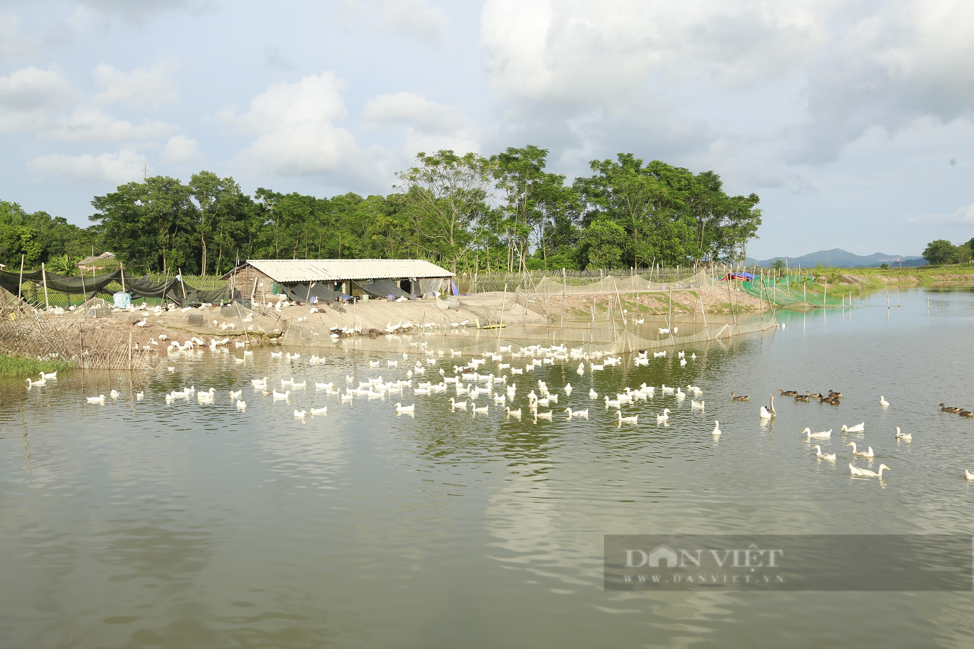 Đưa thương hiệu trứng vịt biển Đồng Rui vươn xa, một hợp tác xã ở Quảng Ninh được tôn vinh