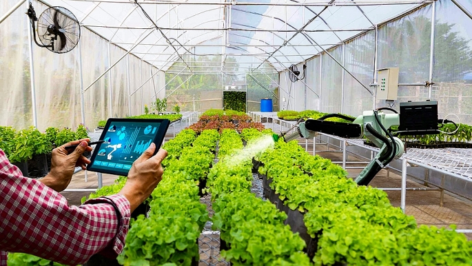 Triển khai số hóa cơ sở dữ liệu, thông tin về hợp tác xã nông nghiệp