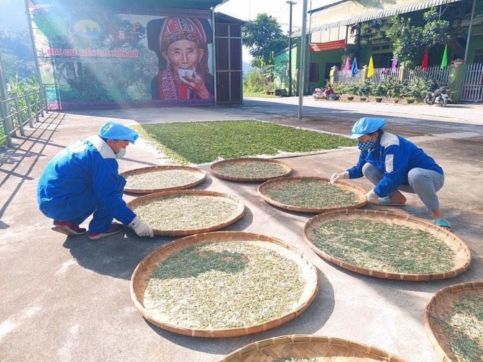 Giúp đồng bào dân tộc thiểu số giảm nghèo bền vững