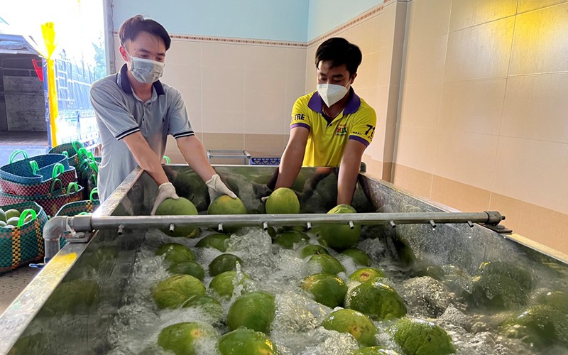 Cần sự liên kết thực chất