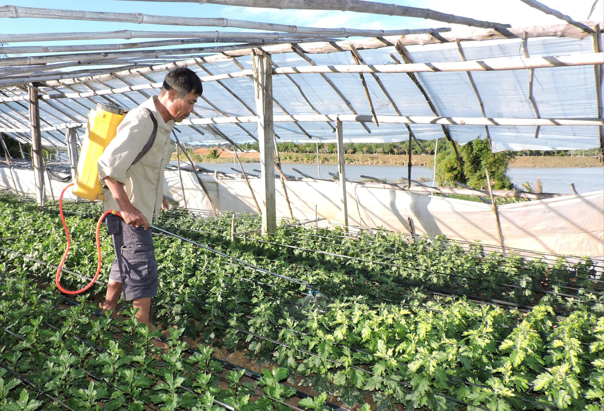 Hiệu quả từ sản xuất nông nghiệp "thuận thiên"