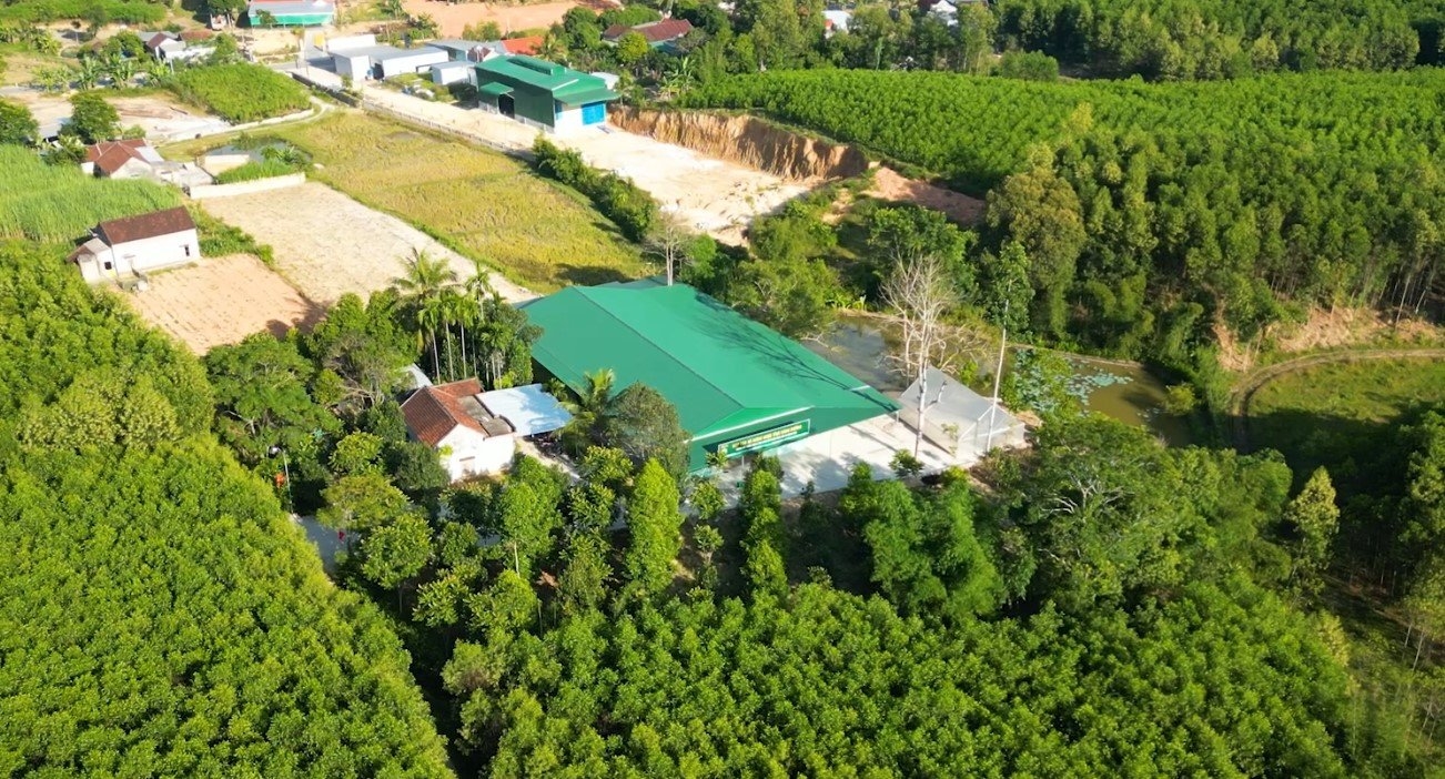 Hợp sức làm giàu từ mô hình Hợp tác xã dược liệu
