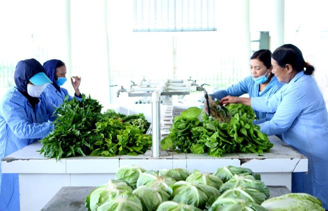 "Mở lối" tiếp cận vốn cho hợp tác xã