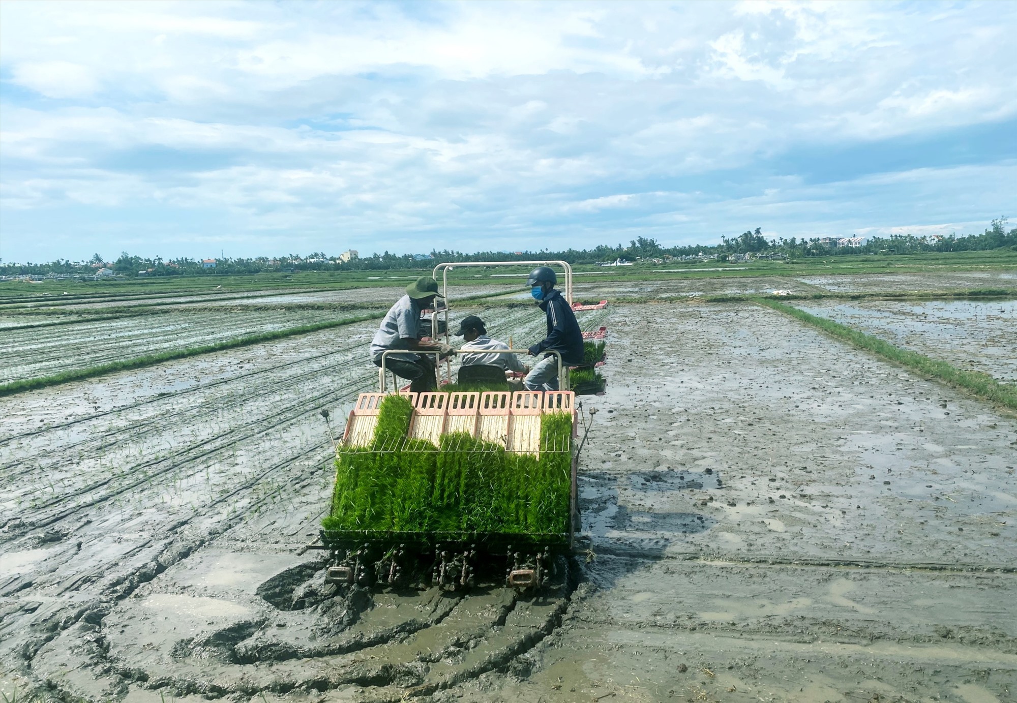 Tạo động lực phát triển hợp tác xã nông nghiệp