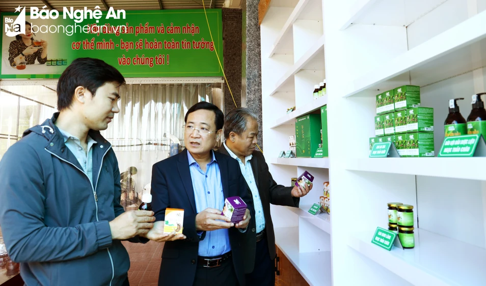 Từng bước đổi mới, nâng hiệu quả hoạt động của hợp tác xã theo chuỗi giá trị