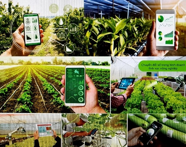 Đề xuất cập nhật, khai thác Hệ thống thông tin quốc gia về hợp tác xã